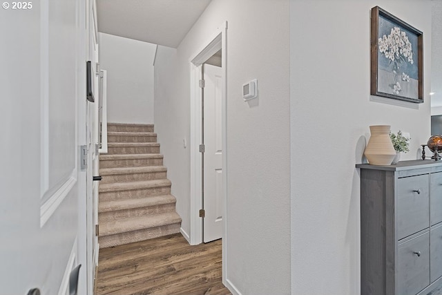 stairway featuring hardwood / wood-style floors