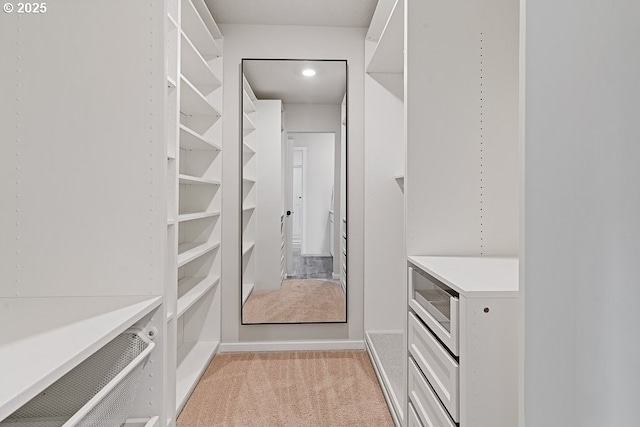 walk in closet featuring light colored carpet