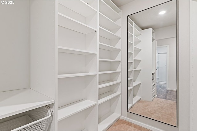 view of walk in closet