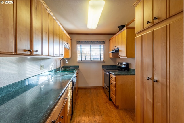 kitchen with under cabinet range hood, a sink, light wood-style floors, stainless steel electric range, and dark countertops