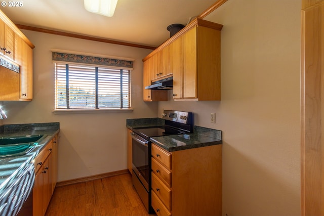 kitchen featuring under cabinet range hood, light wood-type flooring, stainless steel electric stove, dishwasher, and dark countertops