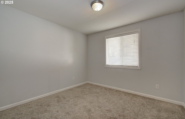 unfurnished room featuring carpet