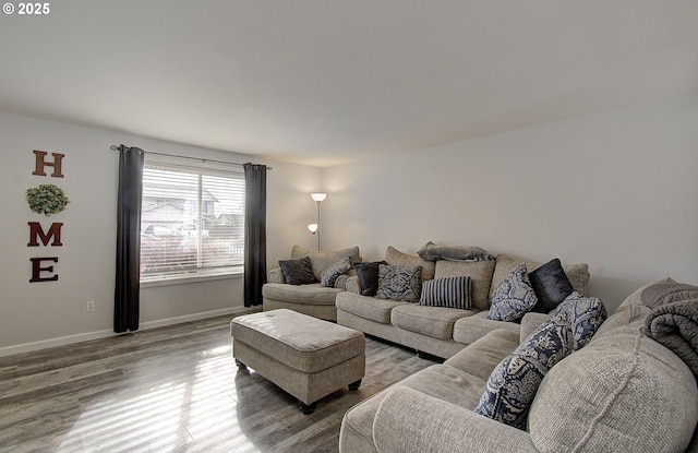 living room featuring hardwood / wood-style flooring