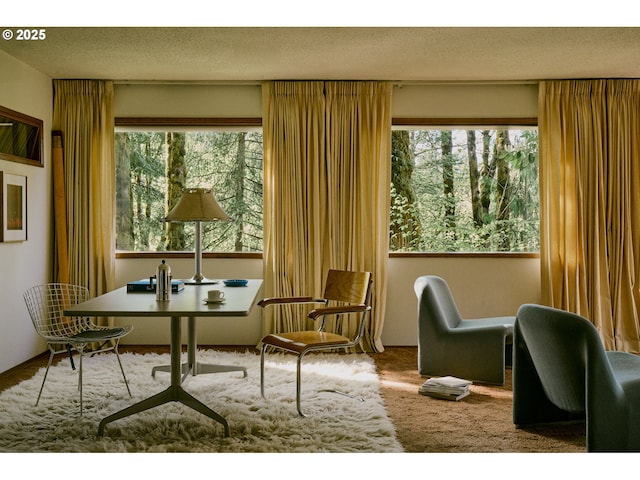 living area with carpet floors