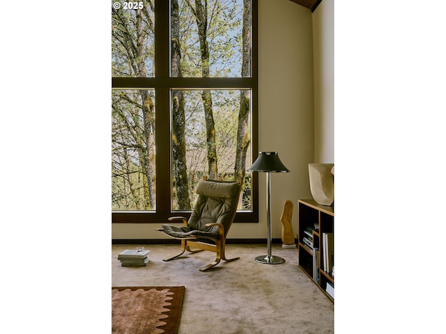 living area with baseboards and carpet flooring