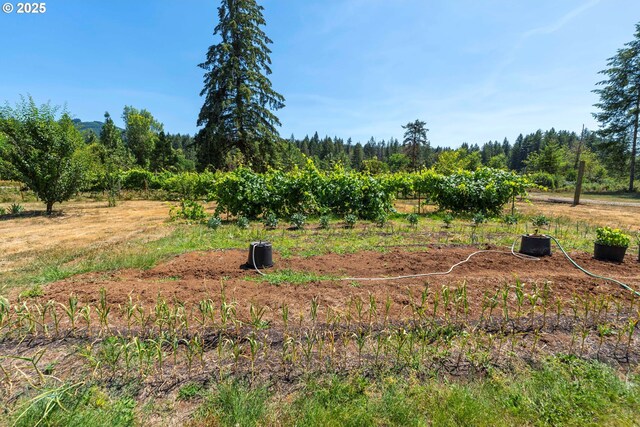94986 Thetford Ln, Marcola, OR 97454 - view of nature with rural landscape