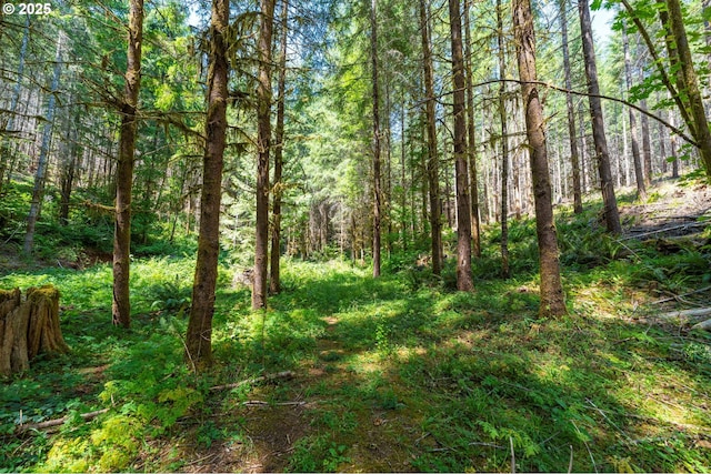 94986 Thetford Ln, Marcola, OR 97454 - view of tree filled area