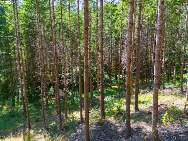 94986 Thetford Ln, Marcola, OR 97454 - view of tree filled area