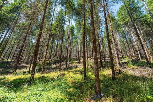 94986 Thetford Ln, Marcola, OR 97454 - view of tree filled area