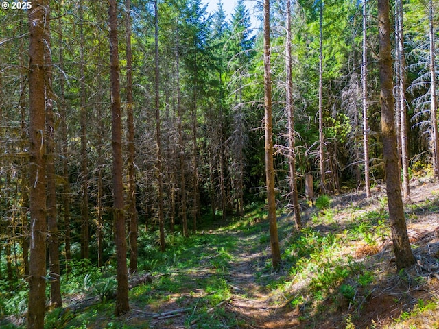 94986 Thetford Ln, Marcola, OR 97454 - view of wooded area