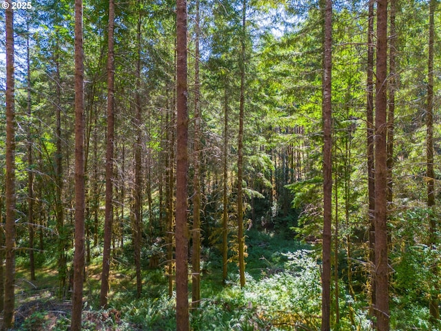 94986 Thetford Ln, Marcola, OR 97454 - view of woods
