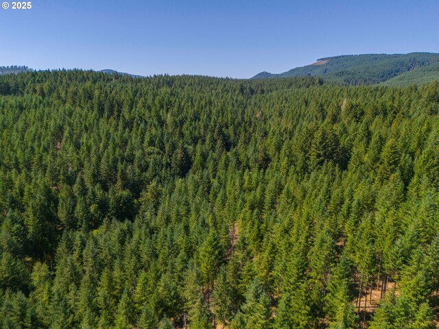 94986 Thetford Ln, Marcola, OR 97454 - view of mountain backdrop with a forest