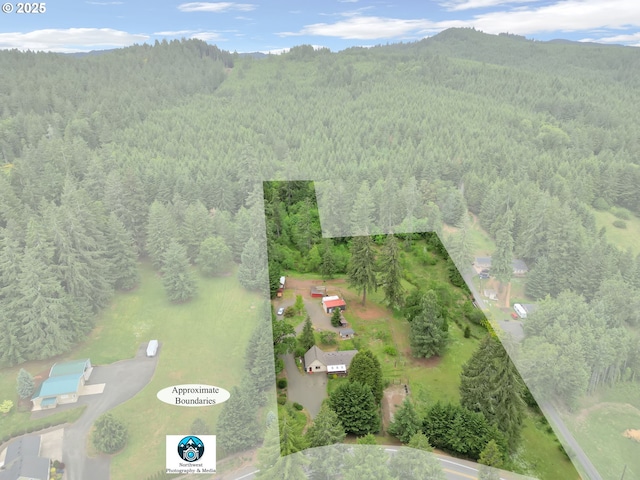 86680 Territorial Hwy, Veneta, OR 97487 - bird's eye view of a heavily wooded area and a mountain backdrop