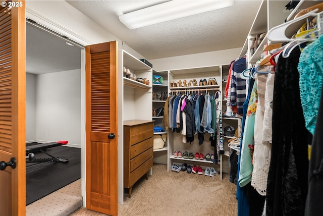 view of walk in closet