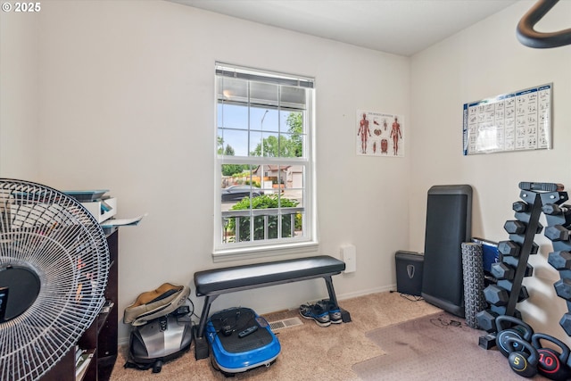 19030 SW Pike Ln, Beaverton, OR 97078 - exercise room with carpet and baseboards