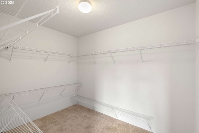 2344 SE 16th Aly, Gresham, OR 97080 - spacious closet with carpet floors