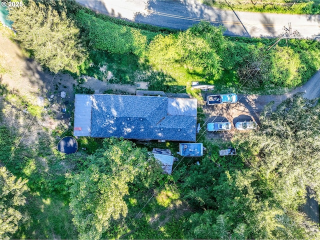 bird's eye view