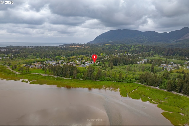 bird's eye view of a heavily wooded area and a water and mountain view