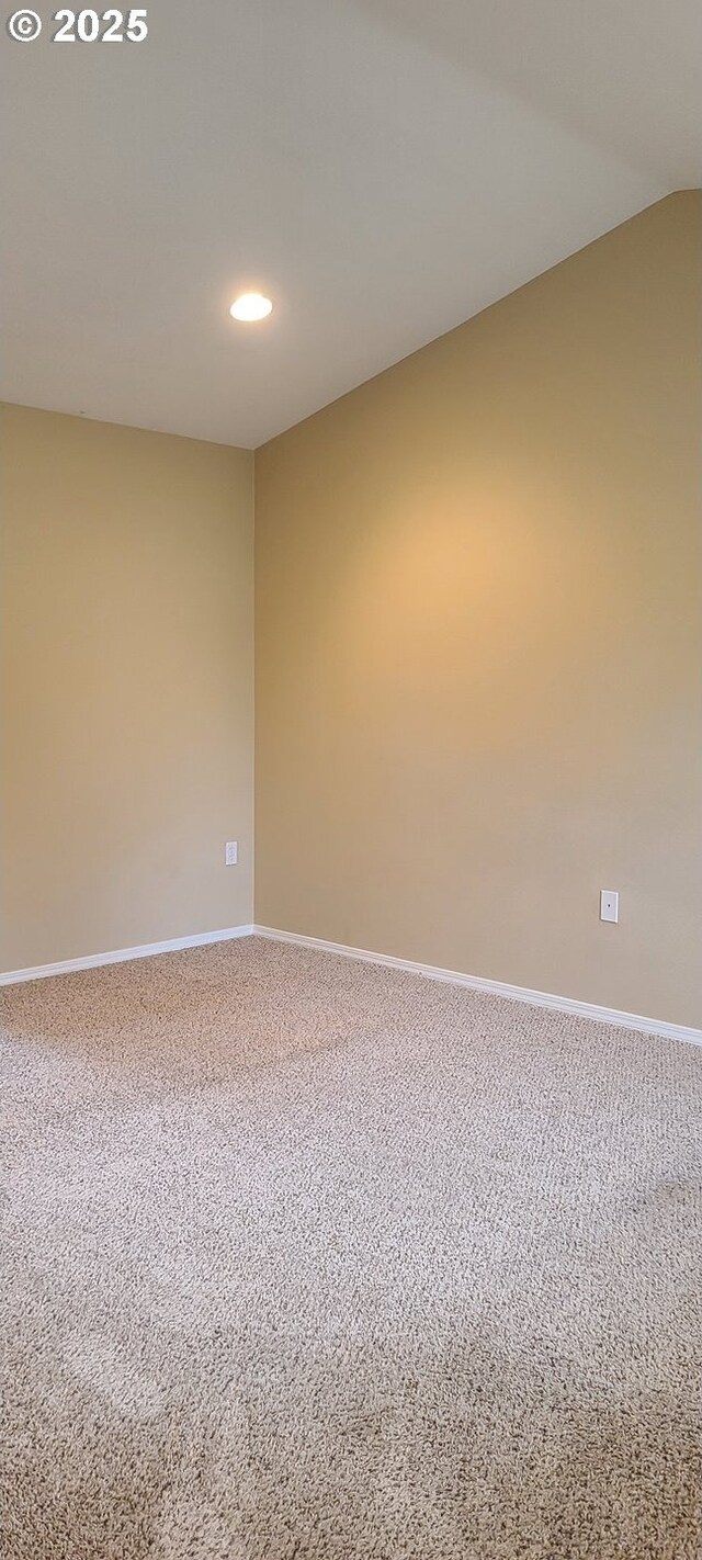 spare room featuring carpet flooring