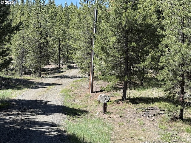 44552 Red Boy Rd, Granite, OR 97877 - view of dirt / gravel road featuring a view of trees
