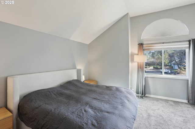 bedroom with baseboards, carpet, and lofted ceiling