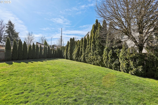 view of yard featuring fence