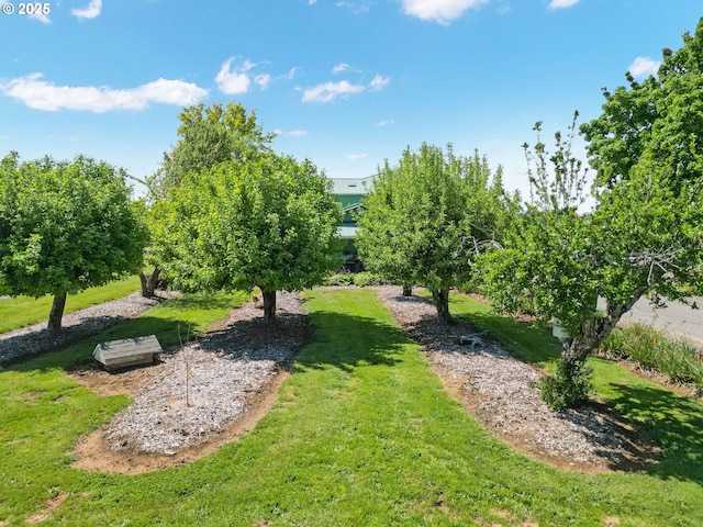 41266 Manitau Rd SE, Stayton, OR 97383 - surrounding community with a lawn