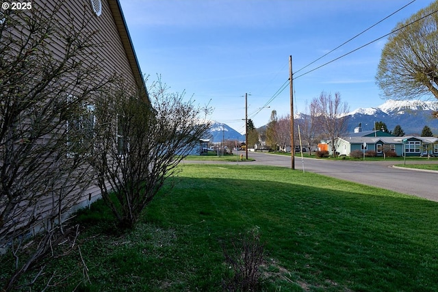 view of yard with a mountain view