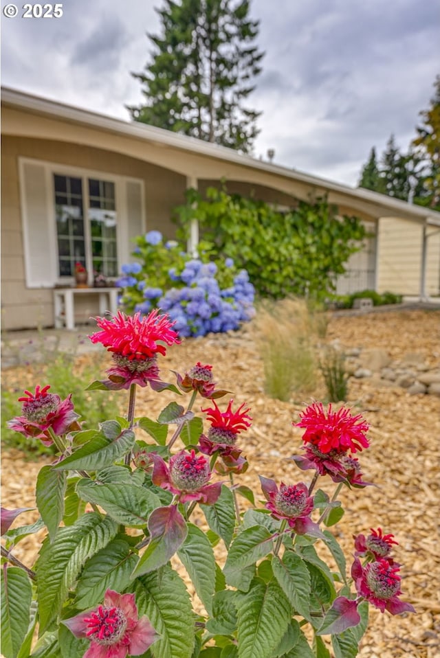 3441 SE 162nd Ave, Portland, OR 97236 - view of yard