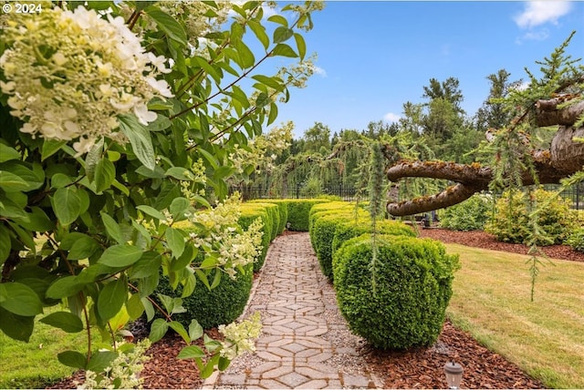 view of yard with fence