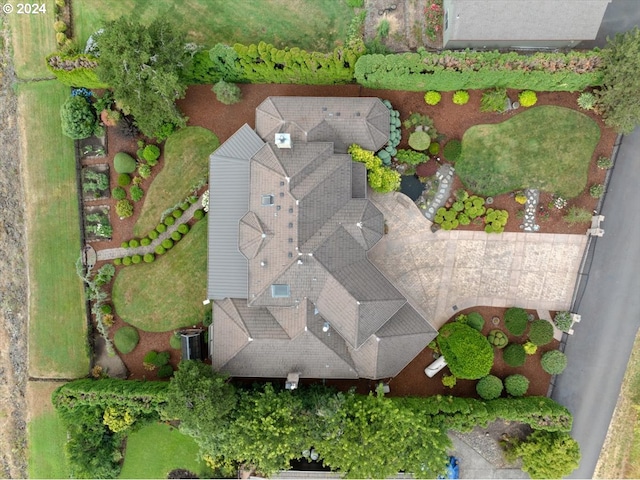 bird's eye view