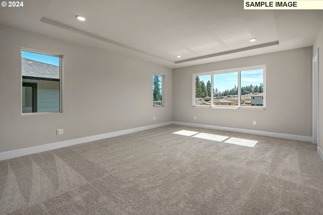 unfurnished room with carpet floors, baseboards, and a tray ceiling