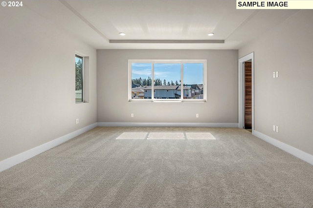 spare room with light carpet, a tray ceiling, a wealth of natural light, and baseboards