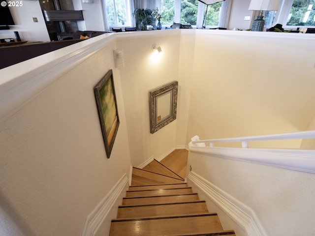 staircase with a wealth of natural light and wood finished floors