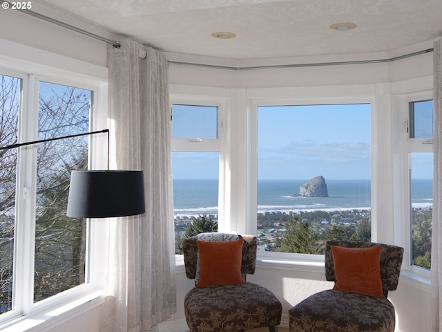 living area with a water view