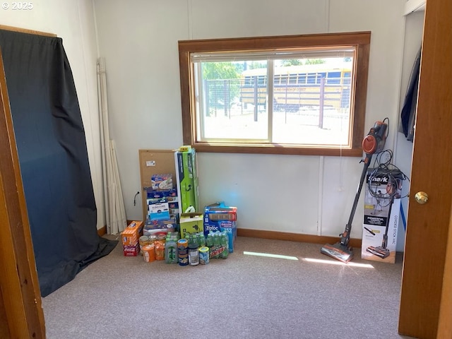 1223 NE Locust St, Oakland, OR 97462 - playroom with carpet flooring