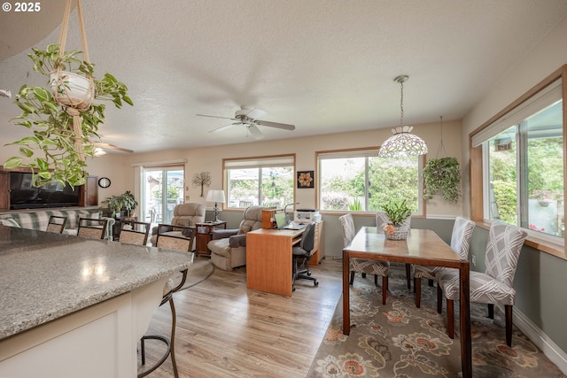 4405 NE 29th Ave, Vancouver, WA 98663 - dining space featuring light wood-style flooring, a ceiling fan, and a textured ceiling