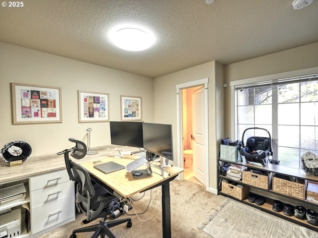 office space featuring light colored carpet and a textured ceiling