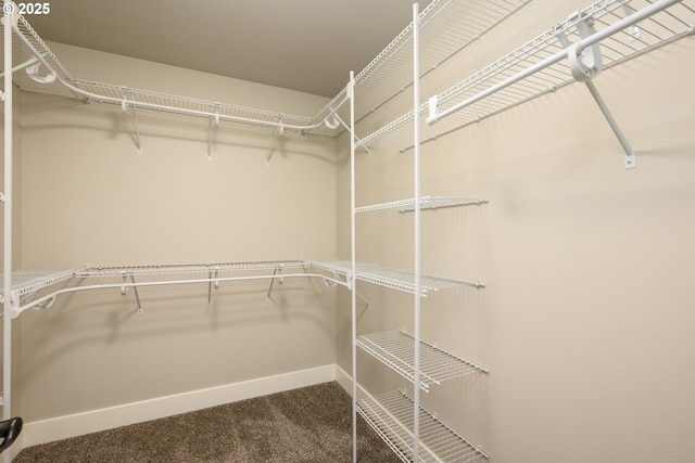 625 Brady Ln, Roseburg, OR 97471 - spacious closet featuring carpet
