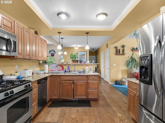 kitchen featuring appliances with stainless steel finishes, a sink, a peninsula, wood finished floors, and a tray ceiling