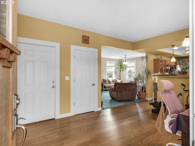 entryway featuring baseboards and wood finished floors