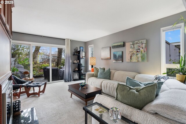 living room featuring a notable chandelier, light colored carpet, and a premium fireplace