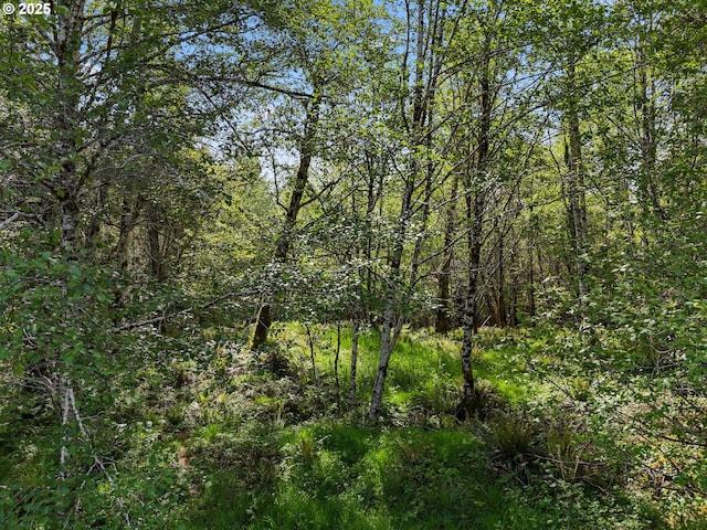 1420 Raymond-South Bend Rd, Raymond, WA 98577