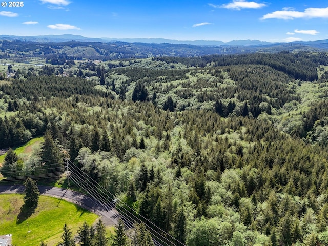 1420 Raymond-South Bend Rd, Raymond, WA 98577