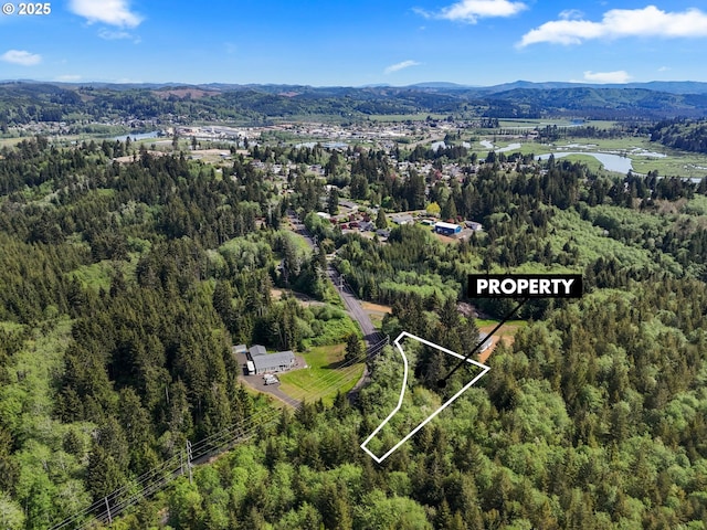 1420 Raymond-South Bend Rd, Raymond, WA 98577