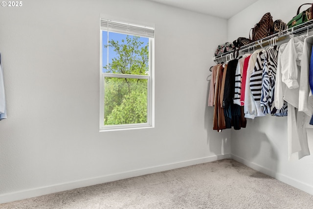 837 S 26th Ave, Cornelius, OR 97113 - walk in closet with carpet flooring