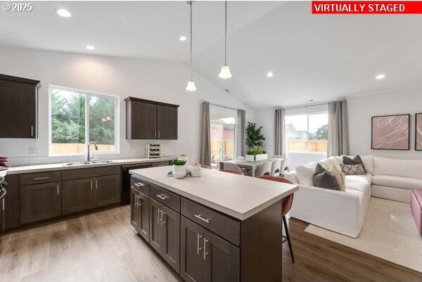 kitchen featuring open floor plan, a sink, dark brown cabinets, and wood finished floors