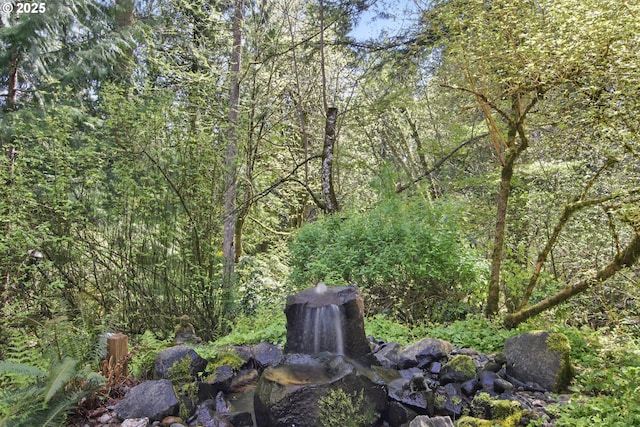 view of local wilderness featuring a view of trees
