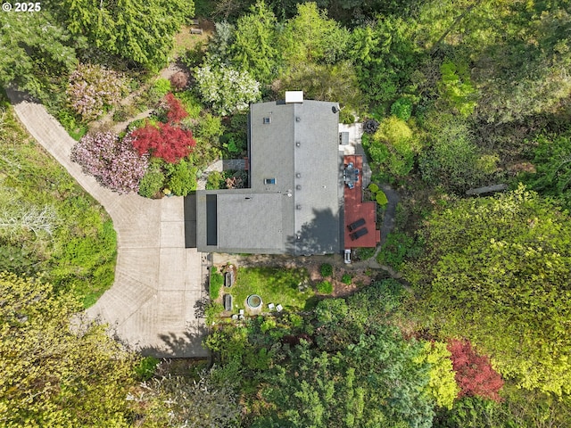 bird's eye view