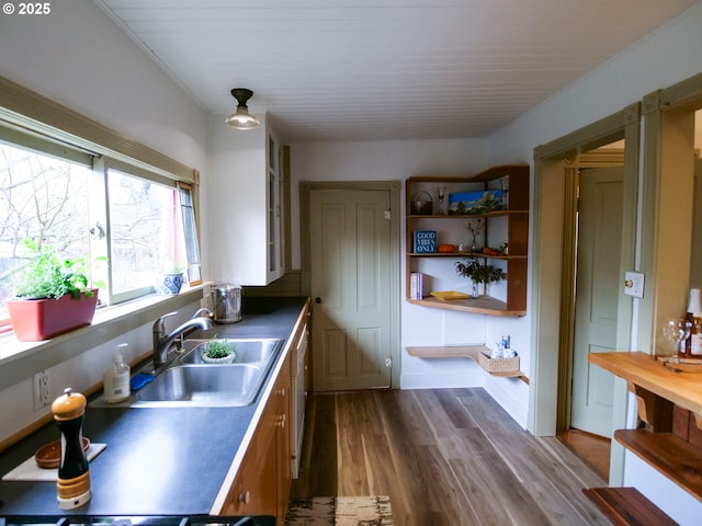 kitchen featuring a sink, open shelves, dark wood-type flooring, and white dishwasher